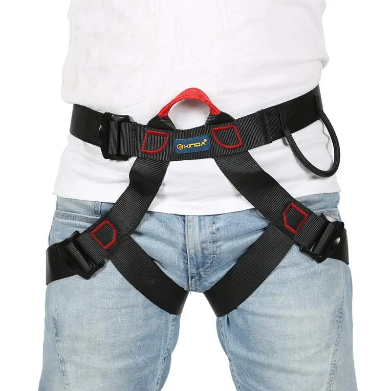 Mountain Climbing Harness 1