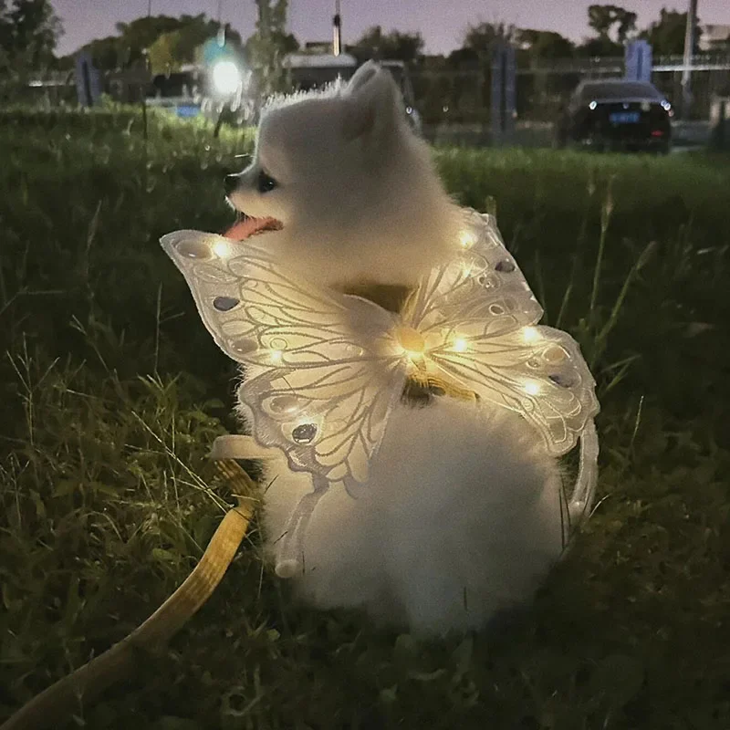 wings glowing butterfly back decoration For Dog & Cats - PeticaDeals