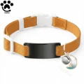 Brown-03B
