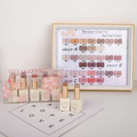 JR10pcs12ml30 color lasting Summer Ice Nail Varnish Set UV/LED Color bottle color cover Spring black and white powder Macaron mu 1
