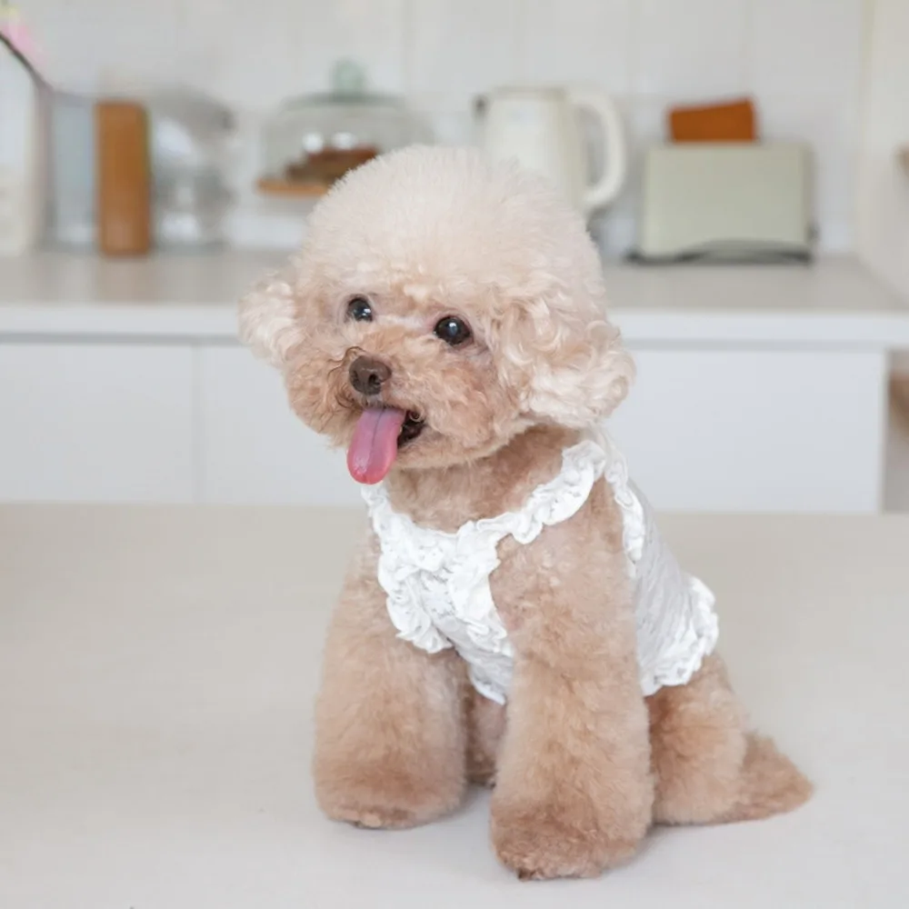 Vest Pet Clothing Cats & Dogs - PeticaDeals