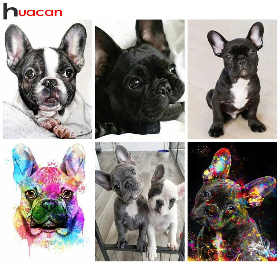 YSCOLOR Diamond Painting Bulldog francese Fiore DIY Diamante