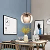 Nordic Glass Pendant Light LED Hanging Lamp for Dining Room Living Room Coffee Shope Home Indoor Decor Lighting Fixtures 3