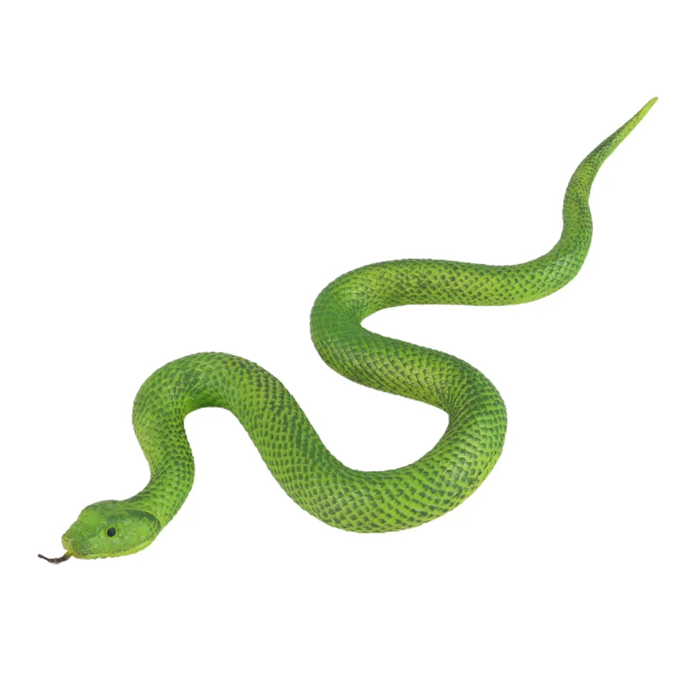 Rainforest Snake Clipart