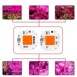 Full Spectrum  LED Chip Plant Grow COB Chip Phyto Lamp 20W 30W 50W AC220V Smart IC No Need Driver For Indoor Greenhouse Plants