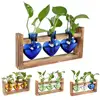Retro Glass Plant Propagation Station with Wooden Frame – Heart-Shaped Hydroponic Vase for Indoor Plants, Desk & Home Decor 5