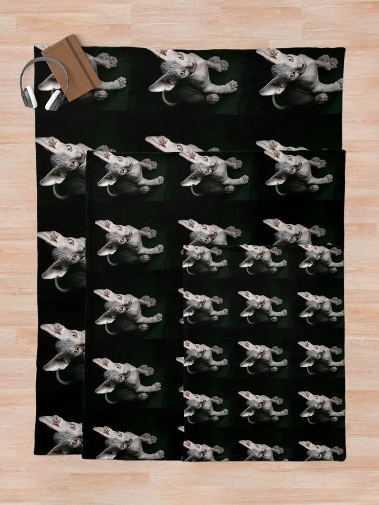 ���� ����ũ�� ������ ������ ���, ���� ħ�� ���