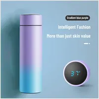 1pc 500ML Smart Insulation Stainless Steel Colorful Cup Mini Thermos Cup Water Bottle Led Digital Temperature Display Thermos 1