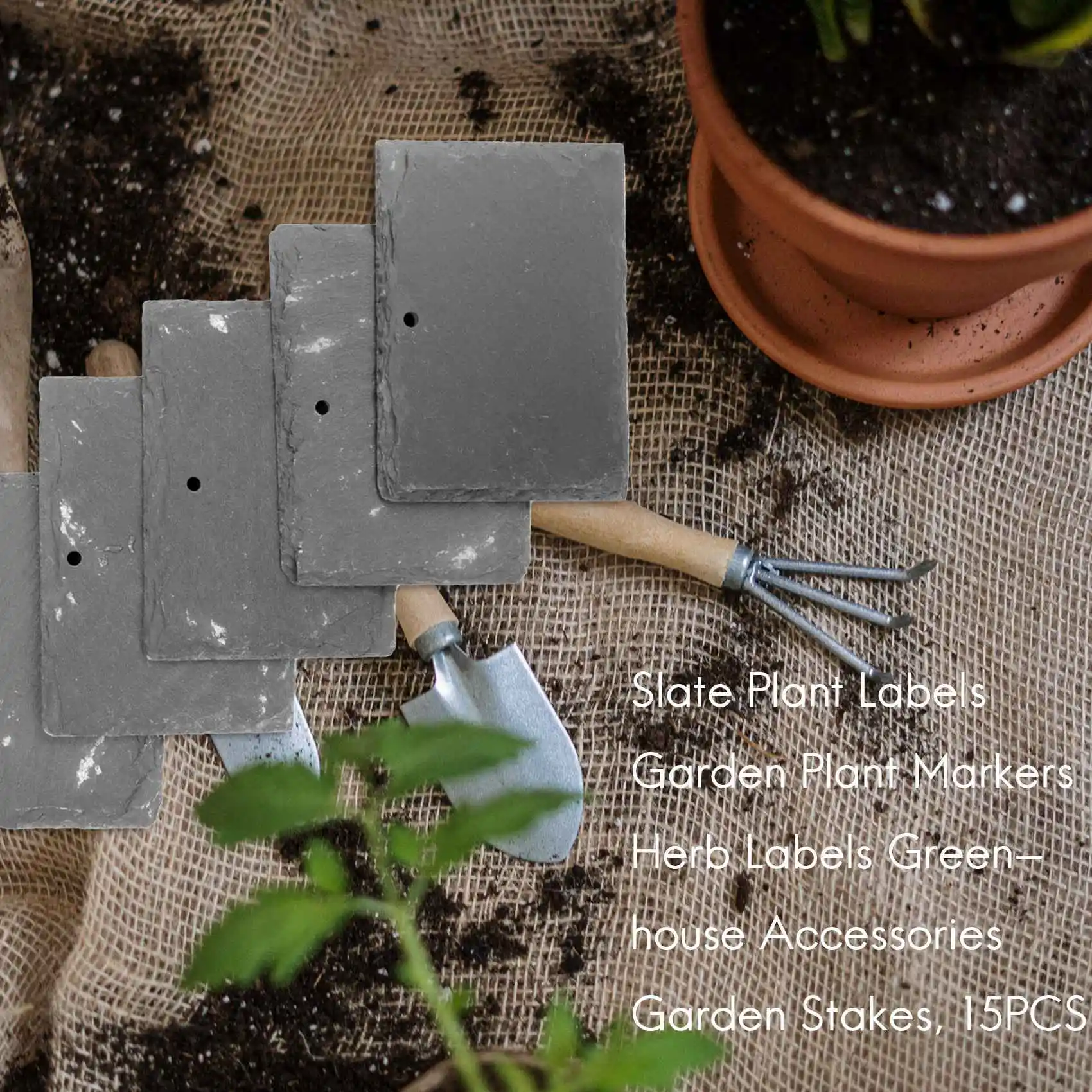 Slate Plant Labels Garden Plant Markers Labels Greenhouse Accessories Garden  Stakes, 15PCS New - AliExpress, image size:1700x1700