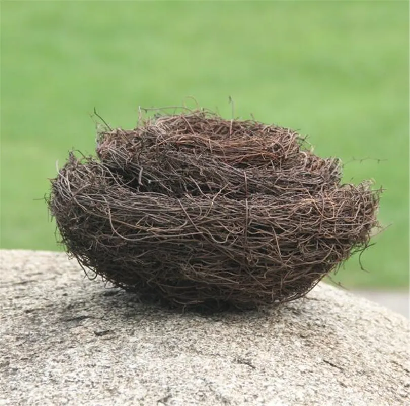 6/8/10/12/15/20cm Vintage Nature Decoration Prop Bird Nest Bird Cage Creative For Optical Shop Display WindowPhotography Props