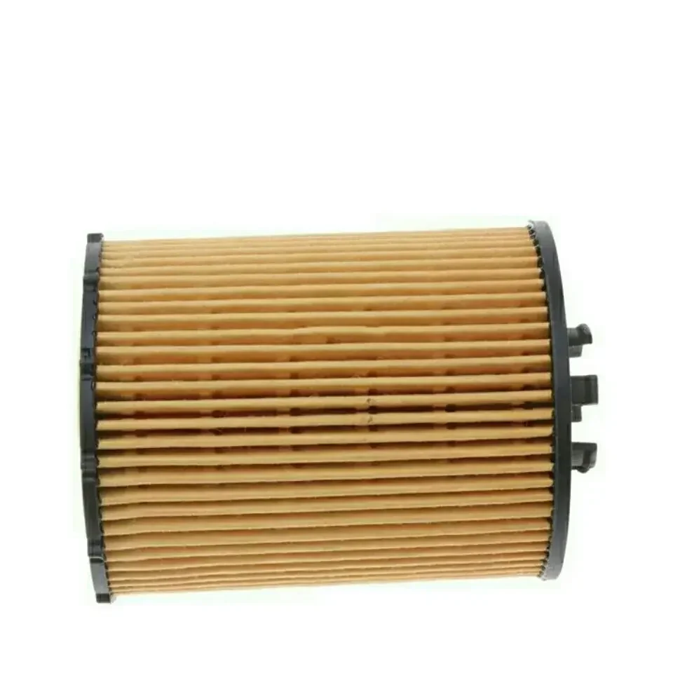 Car Oil Filter for BMW E60 E63 E65 E66 E70 550i 650i 750Li 760i X5 4.8 6.0L
