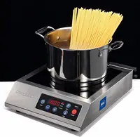1800W NSF Certified Commercial Range Powerful Countertop Burner Pro Chef Professional 1
