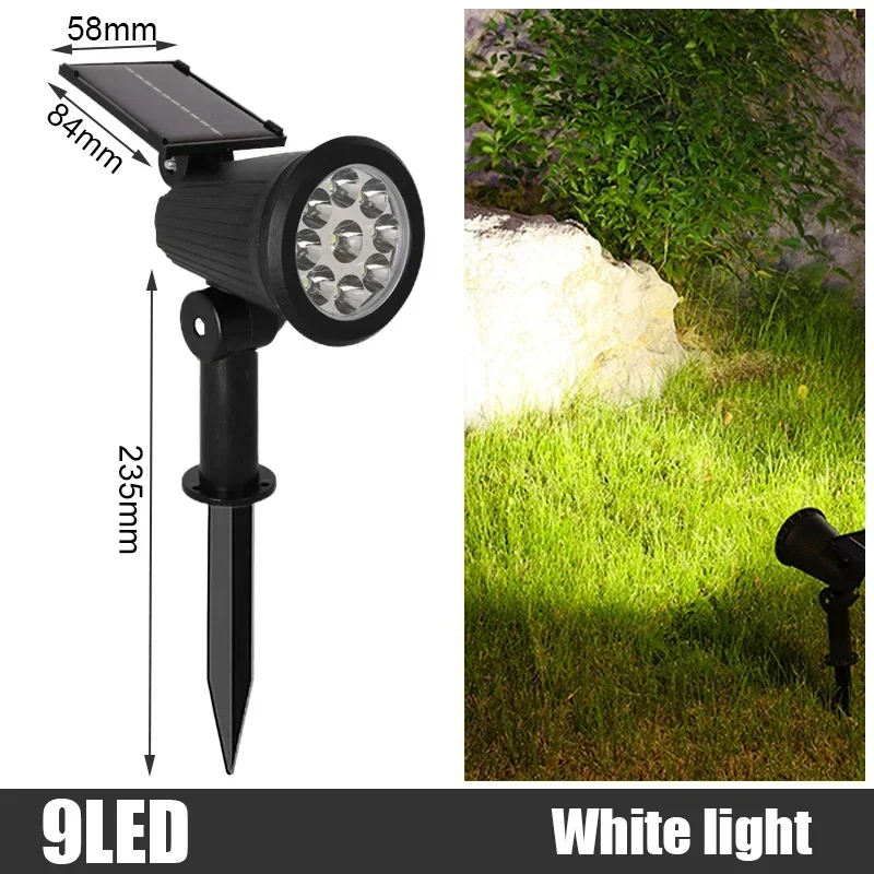 White Light