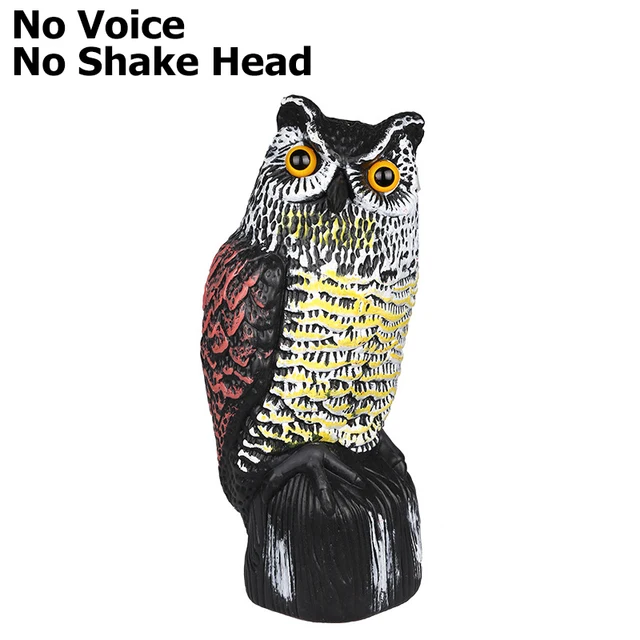 NO SHAKE HEAD