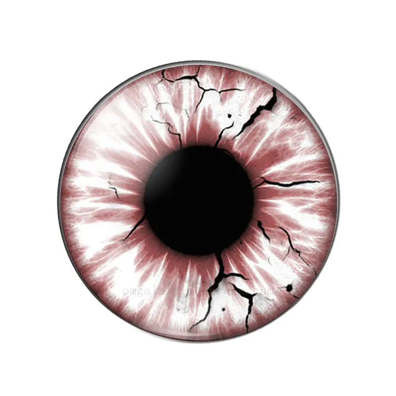 드래곤 동물 눈 인형 장난감 안구, 혼합 10 개, 8mm-30mm 원형 사진 유리 카보숑 데모 플랫 백 만들기 연구 결과