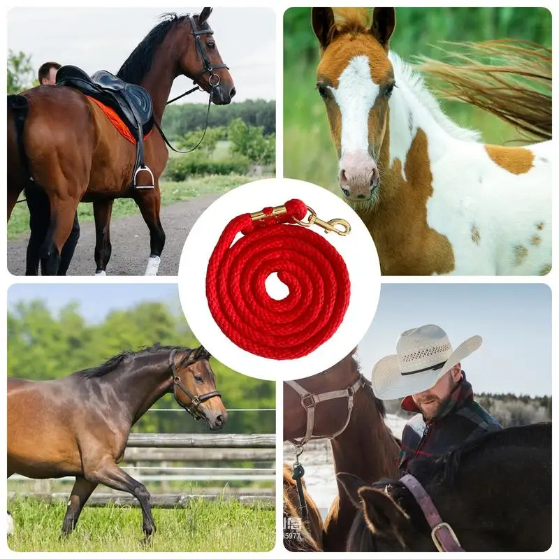 Horse Rope 6.5ft Training Lead With Trigger Bull Snap Strong Cord For Effective Handling Long Walking Lead For Equestrian Sports 5