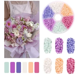 Vibrant Glass Seed Beads Collection for DIY Jewelry and Art Crafts (Fresh flowers 5)