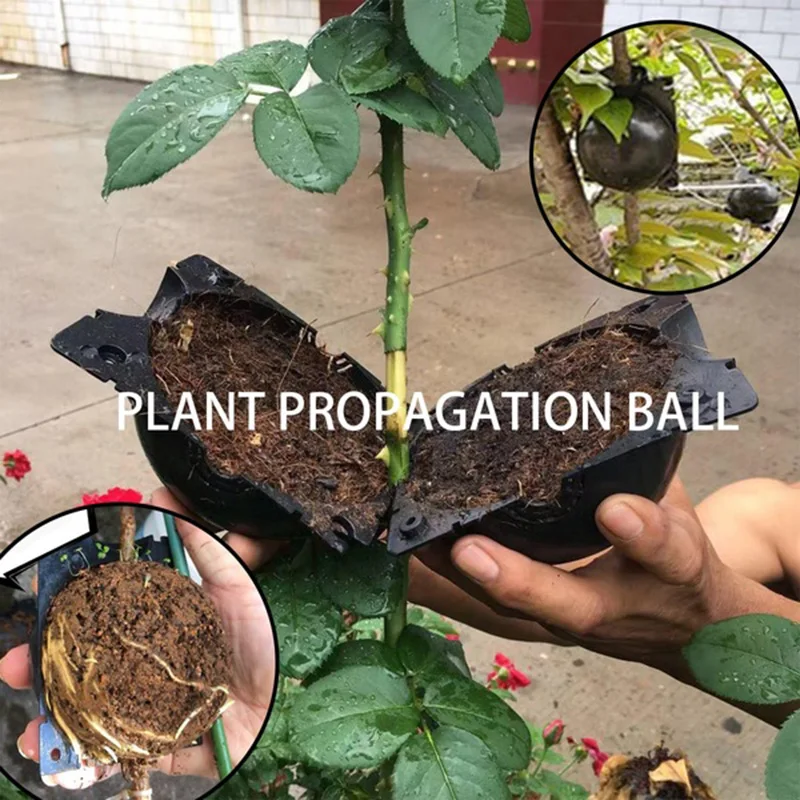 1Pc Plant Rooting Device Palla Di Propagazione Ad Alta Pressione Scatola Ad Alta Pressione Innesto Razza Pgarden Lant Root Growing