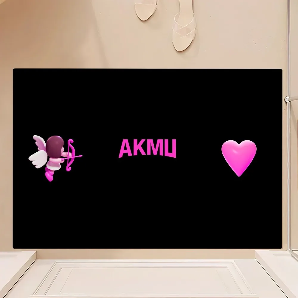 Kpop A-Akmu Love Lee Floor Mat Bedroom Kitchen Door Bath House Super Absorbent Foot Non-slip 5
