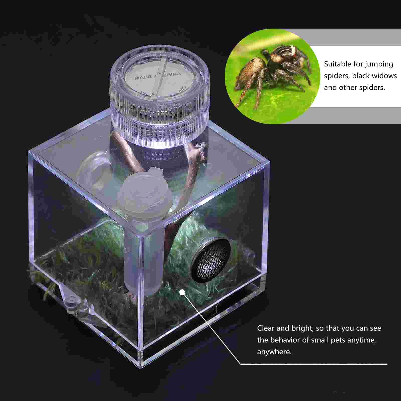 Jumping Spider Breeding Box Landscape Case Enclosure Accessories Insect  Living Habitat Terrarium - AliExpress
