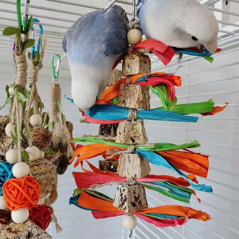 Colorful Hanging Bird Toy 1