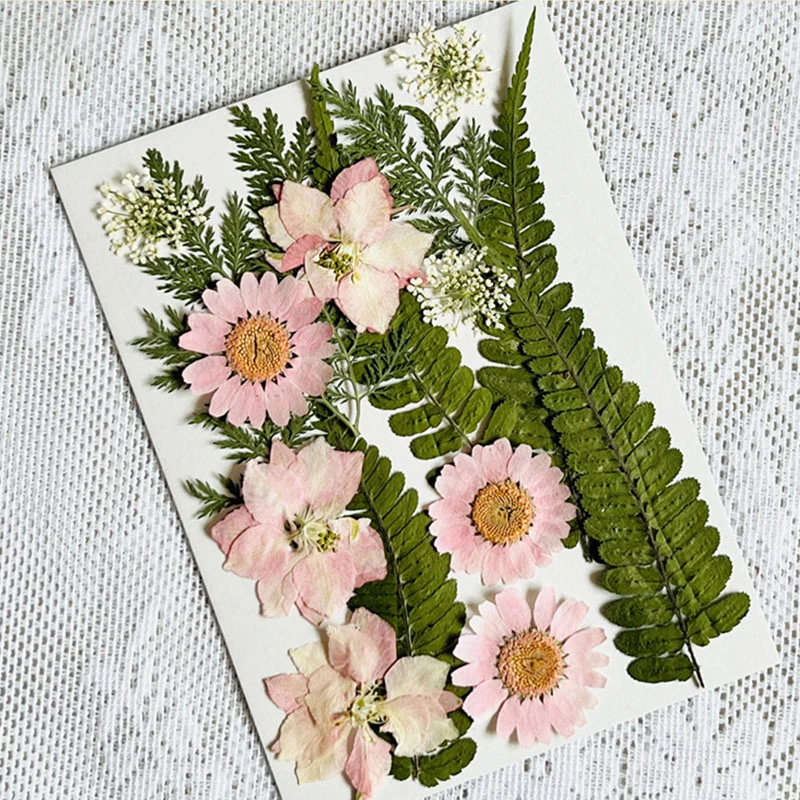 Dried Pressed Flower Dry Plants for Aromatherapy Candle Epoxy Resin