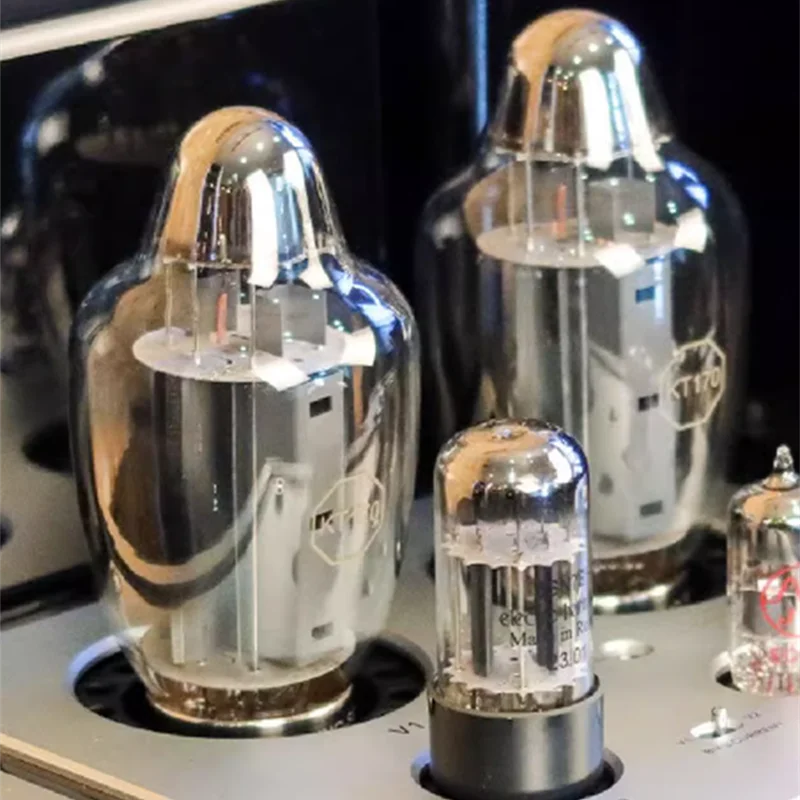 Рисунок 5 - Линейная Магнитная флейта/1 пара KT170 * 2