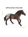 Appaloosa