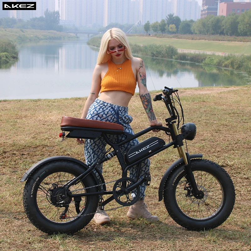 

Haishi 20 inch 4.0 thick tire soft tail electric mountain bike 500W/1500W 48V 18Ah full suspension 7-speed snow electric bicycle