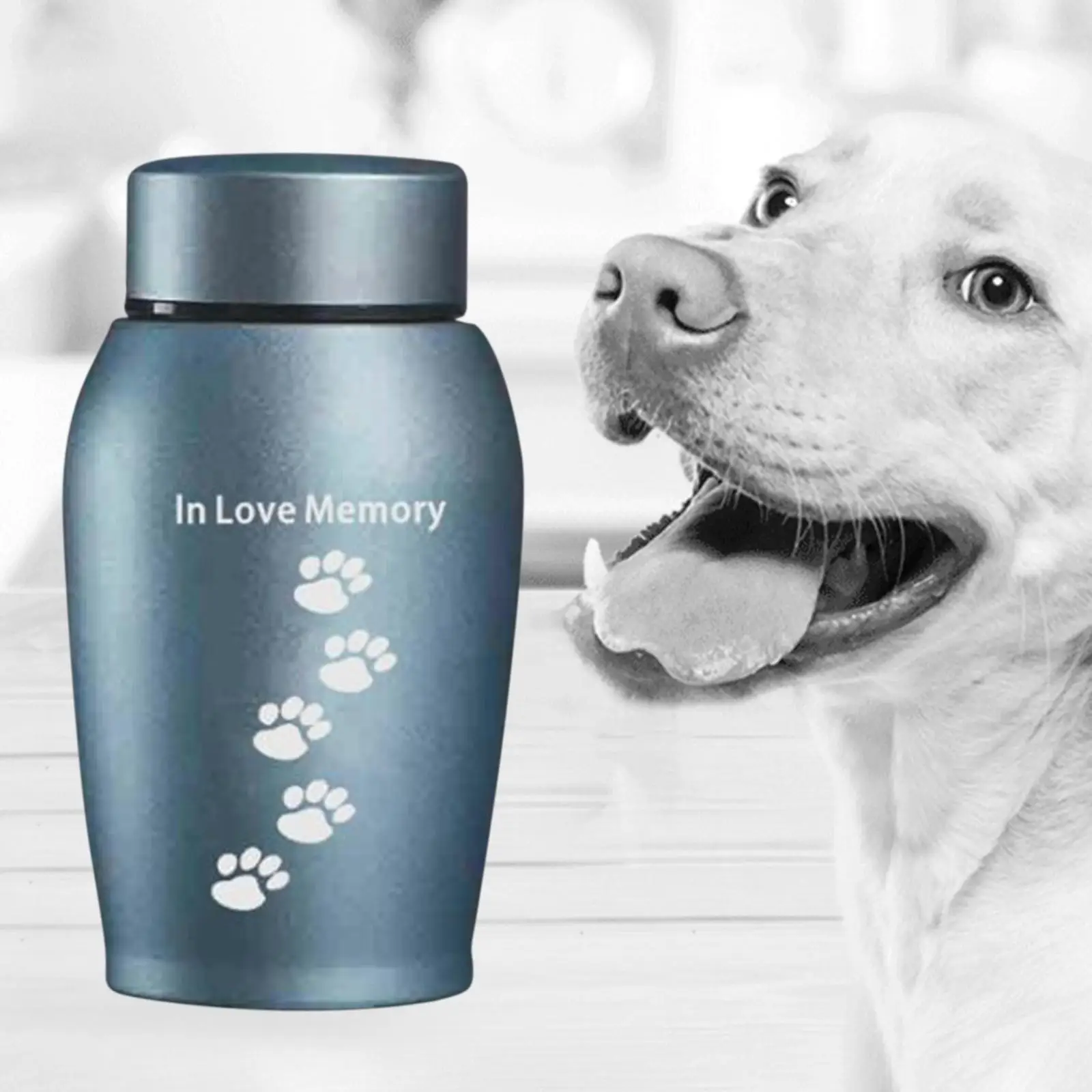 Cremation Memorial Urn Memorable Loose Memorial Pets Gift Burial Cremation Urn Storage Pet Urns for Dogs Ashes Retain Memories Cremation Memorial Urn Memorable Loose Memorial Pets Gift Burial Cremation Urn Storage Pet Urns for Dogs Ashes Retain Memories