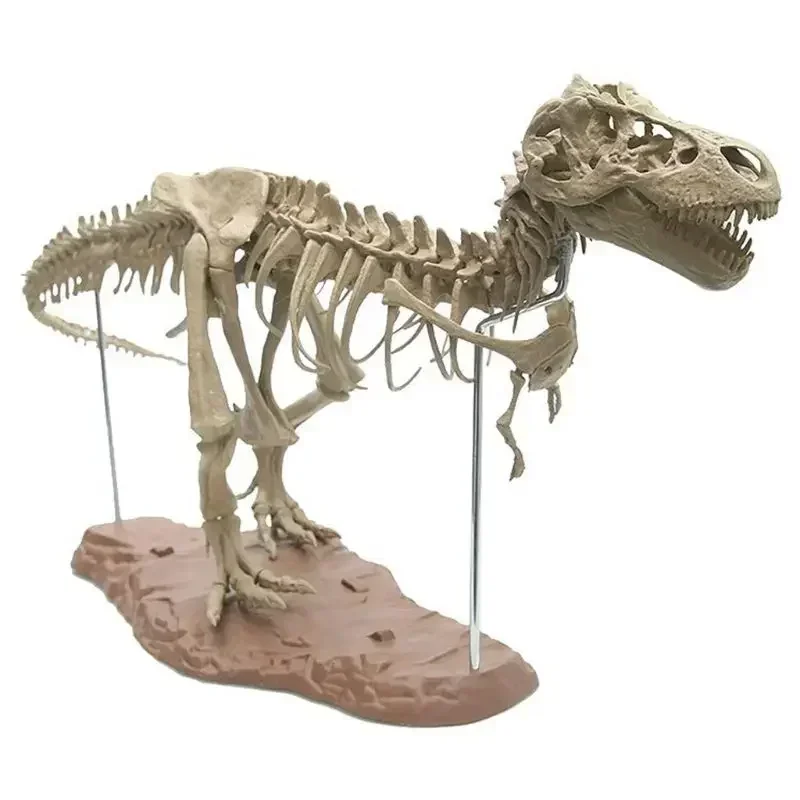 DIY Large T Rex Tyrannosaurus Rex Skeleton Dinosaur  Animal Model Collector Super Decor Tyrannosaurus Rex Skeleton Ornaments