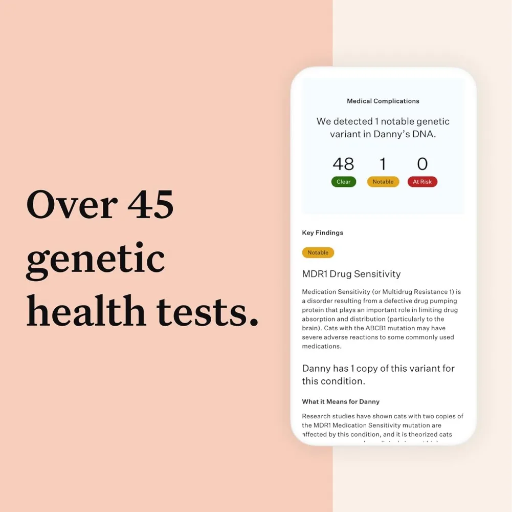 Comprehensive Cat DNA Test kit for 45 Health Genetic Health Conditions 70+ Breeds and populations 25+ Traits Blood Type 2 Pack