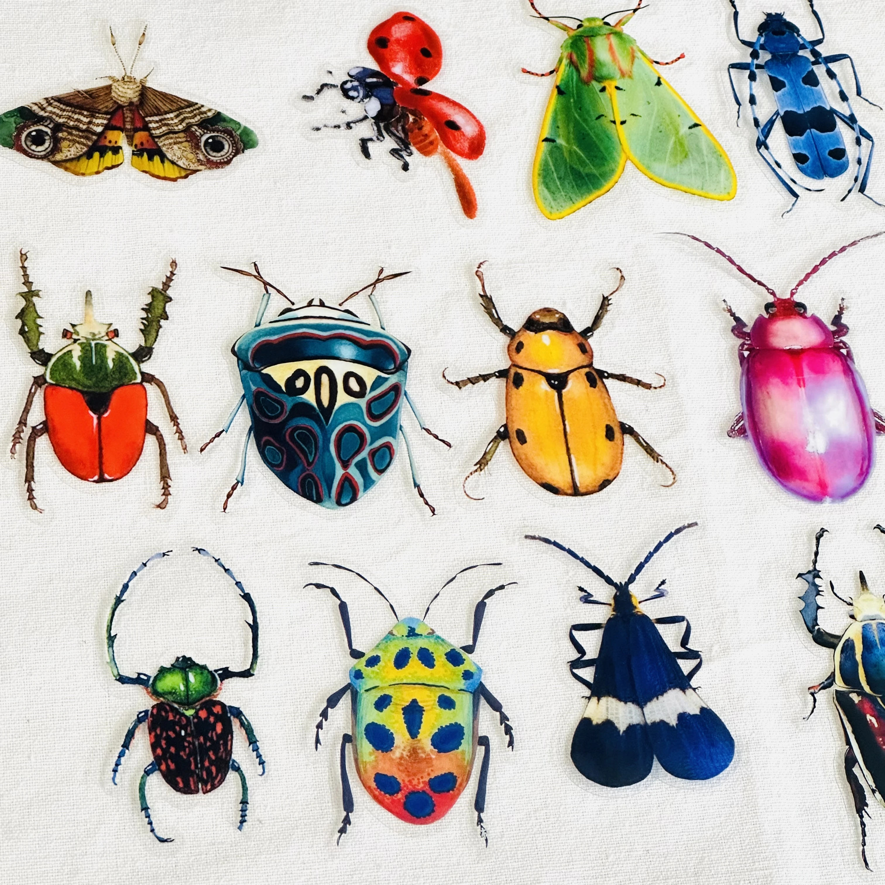 Description Picture 5 of item20PCS Vintage Crustacean Insect Specimen Sticker DIY Scrapbooking Journal Collage Phone Diary Photo Album Gift Decoration