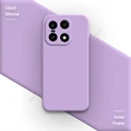 Grass Purple