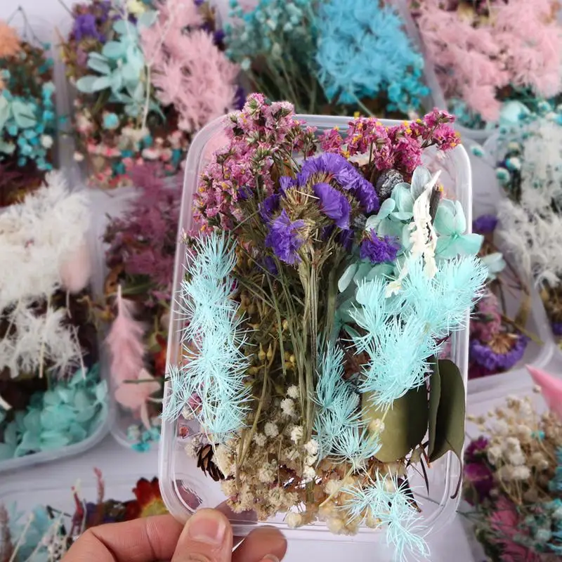 Colorful Real Dried Flower Plant For Making Aromatherapy Candles