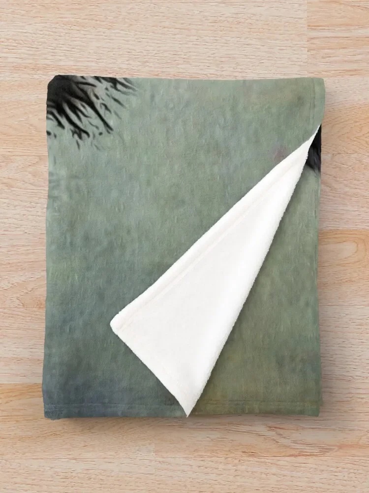 ���� Munsterlander �� ������ ���, ���� ���, ǫ���� ��� �� ������ ���