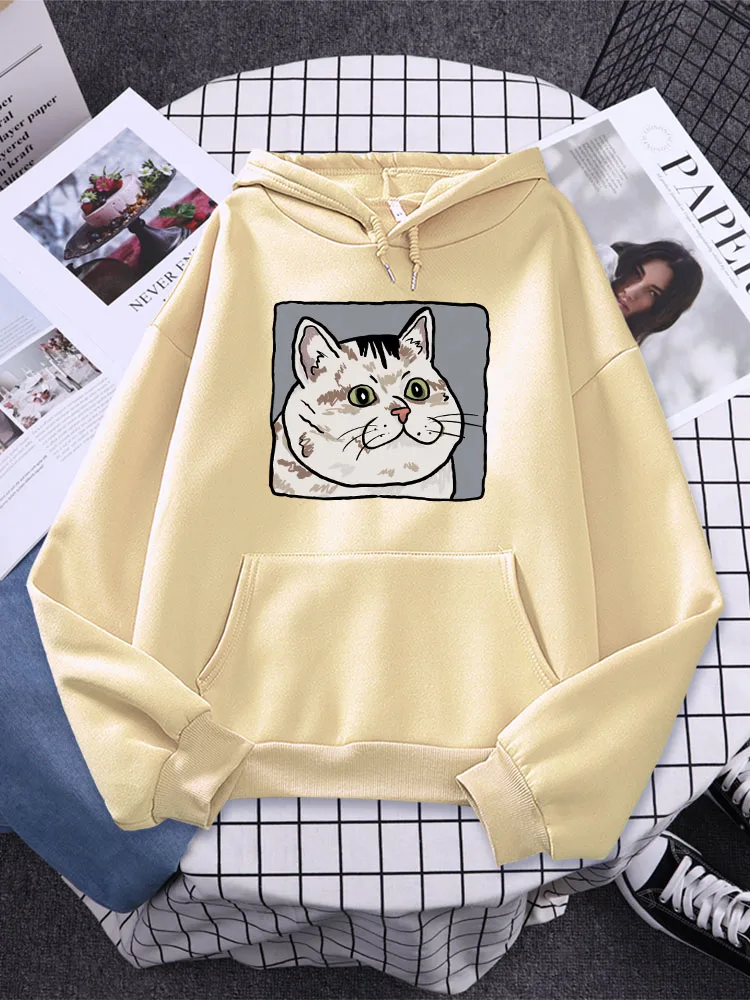 

Cute Dazed Big Face Cat Printed Womens Hoodie Kawaii Comfortable O-Neck Long Sleeves Casual Fashion Clothing Soft Woman Pullover