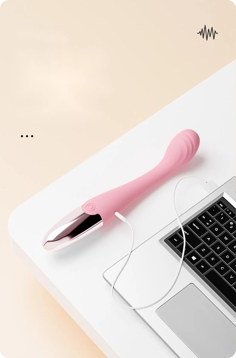 Γραφίδα USB με φόρτιση, μονό ηλεκτρόδιο, γυναικείο ραβδί μασάζ, δόνηση σημείου G, συσκευή αυνανισμού για ενήλικες γυναίκες, προϊόντα ενηλίκων_voghion.com