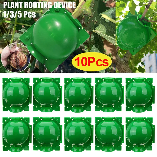 10 Dcs Nagynyomású Szaporodási Golyó Tenyésztési Tok Növény Gyökérzet -Termelő Doboz Kerti Graft Dobozhoz Sapling Home - Image 2
