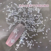100pcs 3D Mini Zircon Nail Art Rhinestones Shiny Clear Crystal Flatback Nail Diamond Dazzling Mixed Shape Nail Gemstone DIY Deco 4