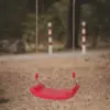 Playground Hanging Swing Seat Set Replacement for Kids Activity Toys Red 1