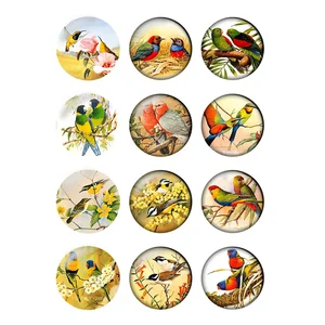 12pcs/lot Flowers & Birds Pattern Glass Cabochons 10mm 12mm 16mm 25mm Flat Back DIY Jewelry Making Findings & Components T180