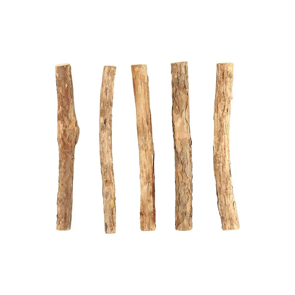 Bastoncini da Masticare per Gatti con Erba Gatta Biologica, Giocattoli e Snack per Gatti, Giocattolo da Masticare per la Pulizia dei Denti dei Gattini, 5 pz/sacchetto - immagine 3