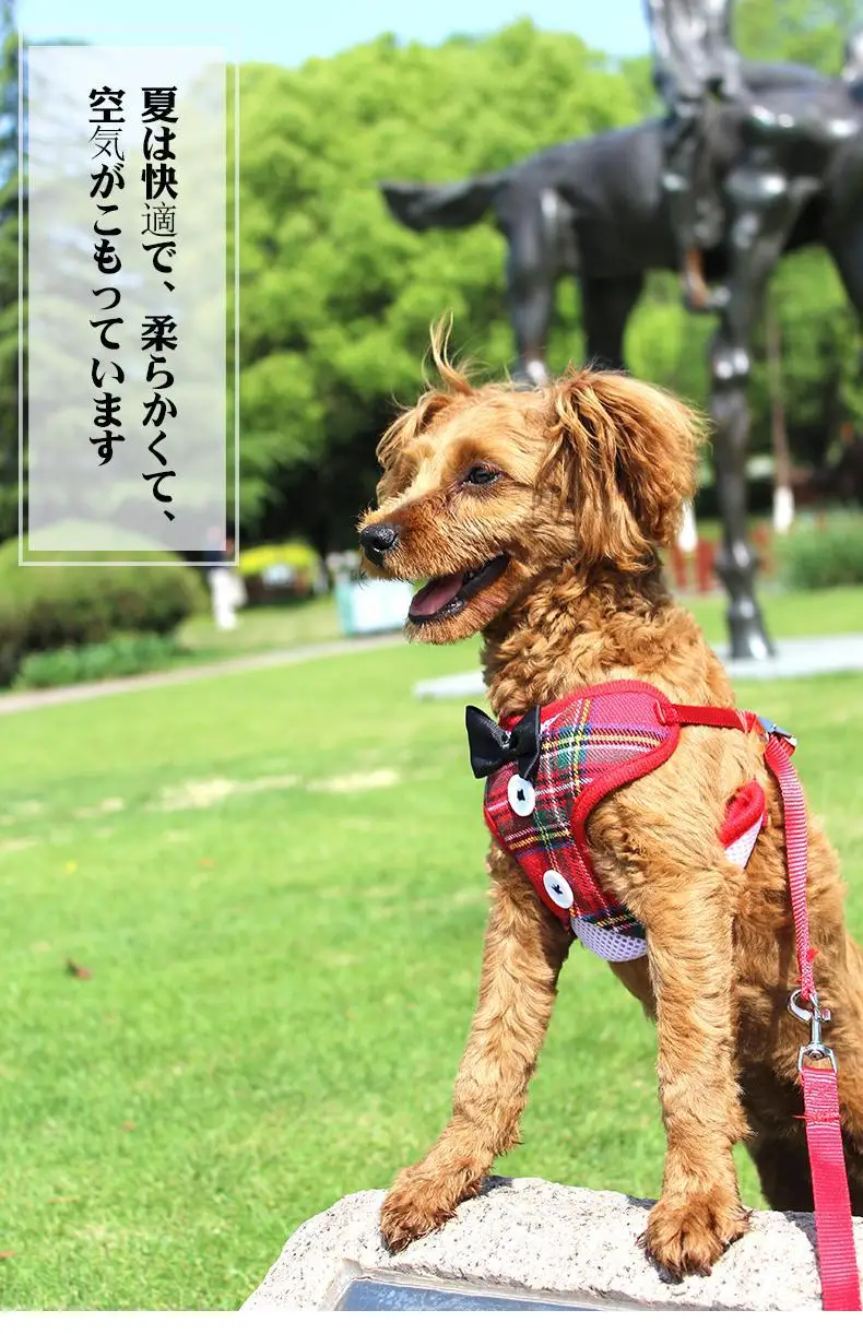 Details 5_01_ iQIYI