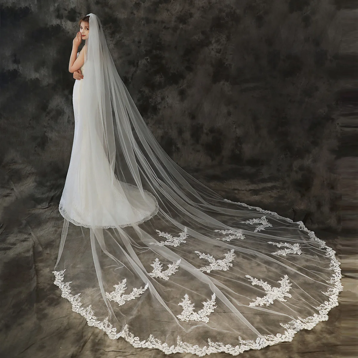 

Tailed Veil Bridal Long Wide Wedding Dress Accessories With Beautiful Appliqués Single-layer With Hairbrush
