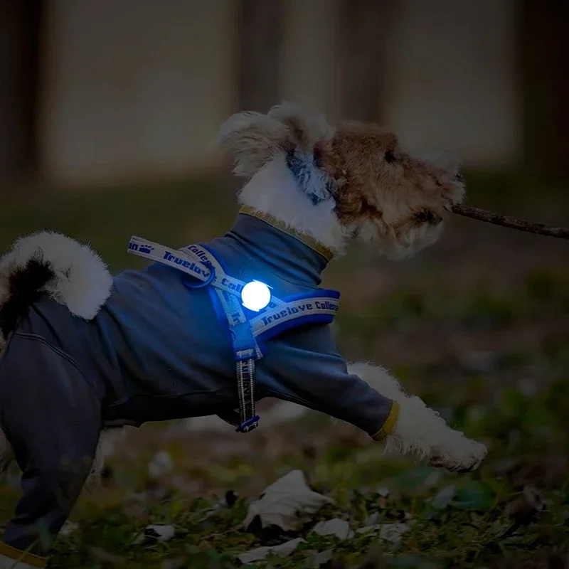 Pet Accessories Truelove Pet Outdoor Waterproof Safety LEDLIGHT Flash Light Dog Products TLD19103