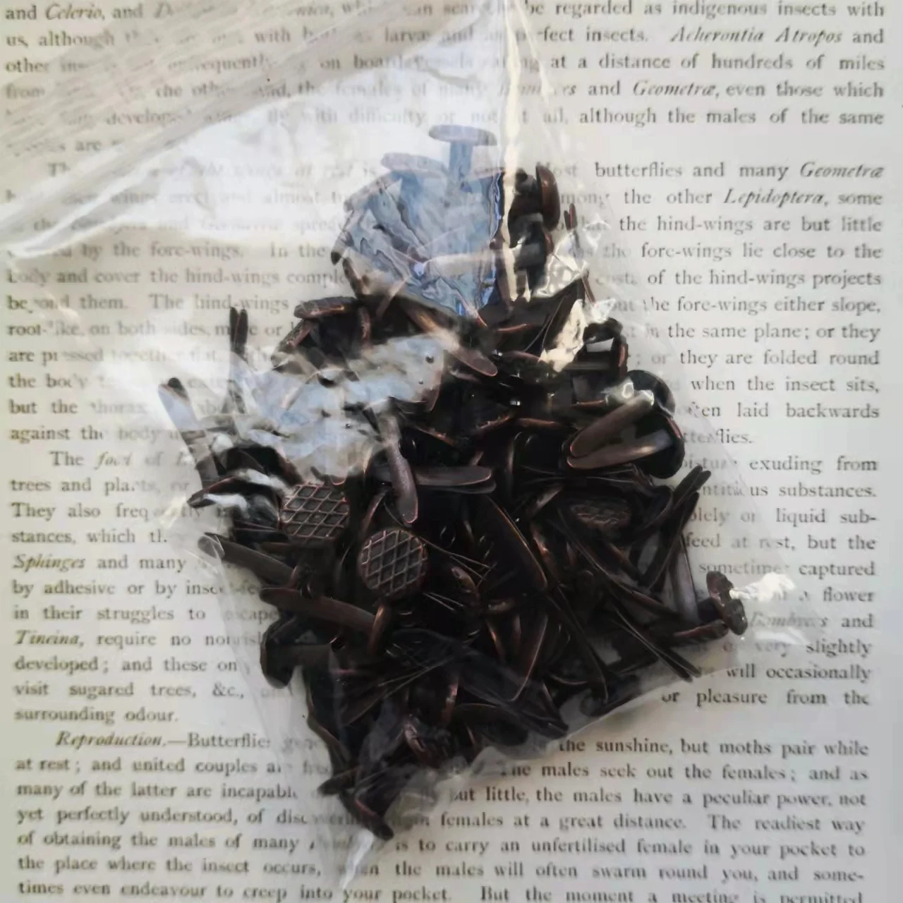 Slide image 43b03e3a85b74168964e1fabc1f8ceb7