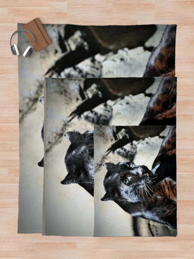 ���� �����ĵ� ��� ��Ʈ ���  ��� ��� ����