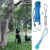 Bite Resistant Dog Spring Pole Toys 5M Cotton Rope Dog Teething Toy Dog Spring Pole Toys Tug Hanging Exercise Cotton Rope 2