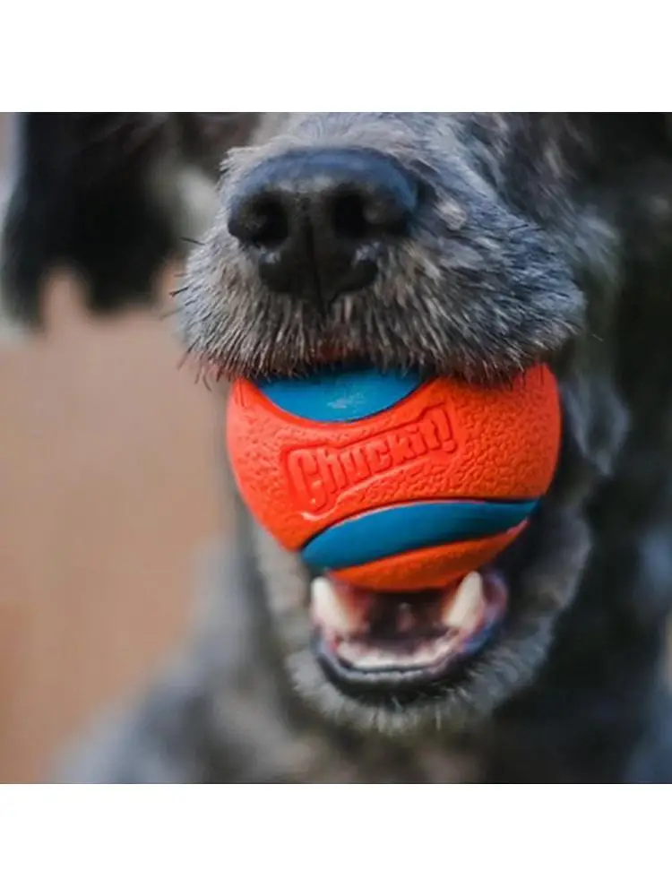 

Pet Dog Rubber Ball Toys for Dogs Resistance to Bite Dog Chew Toys Funny French Bulldog Pug Toy Puppy Pet Dogs Training Products